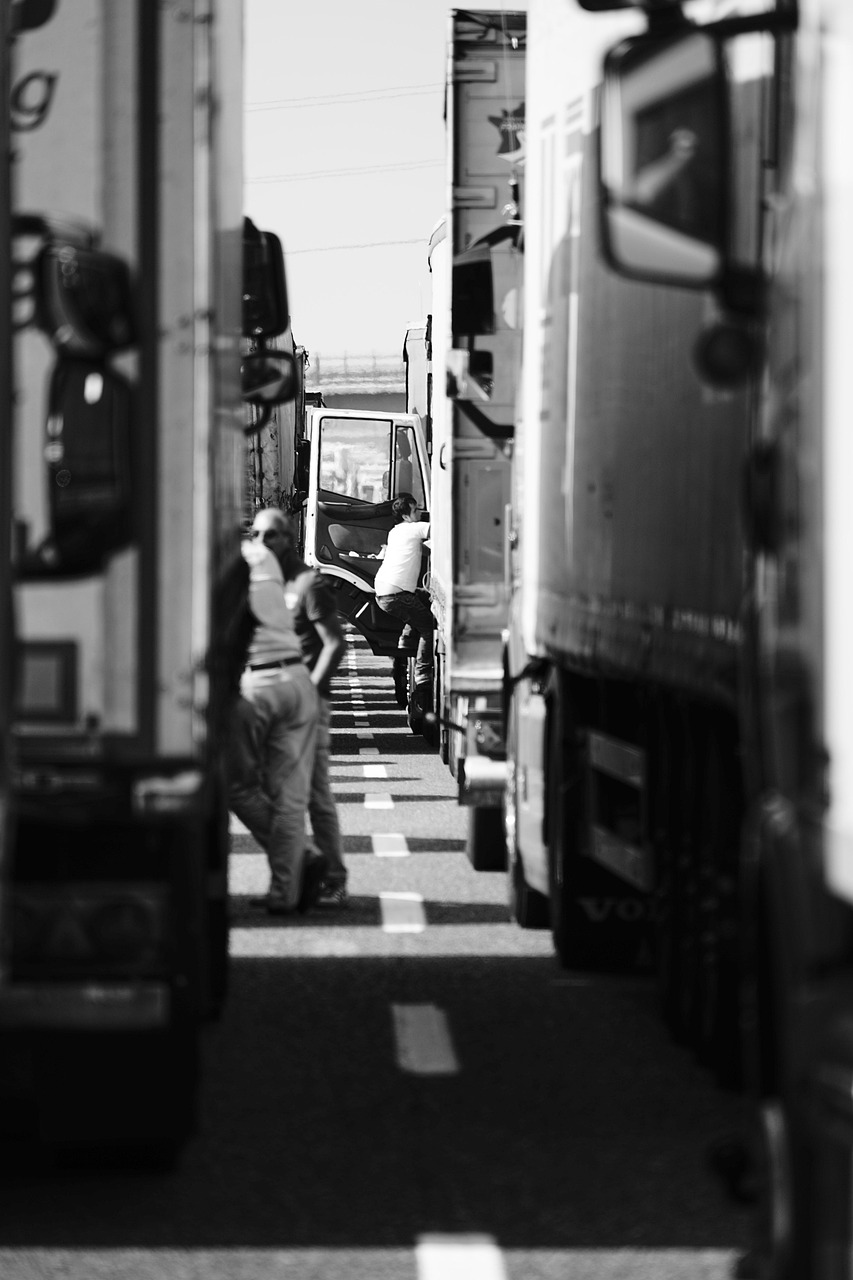 Home trucks, traffic, transportation, road, vehicle, monochrome, street